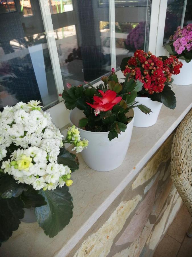Bed and Breakfast Accussì Alcamo Marina Esterno foto