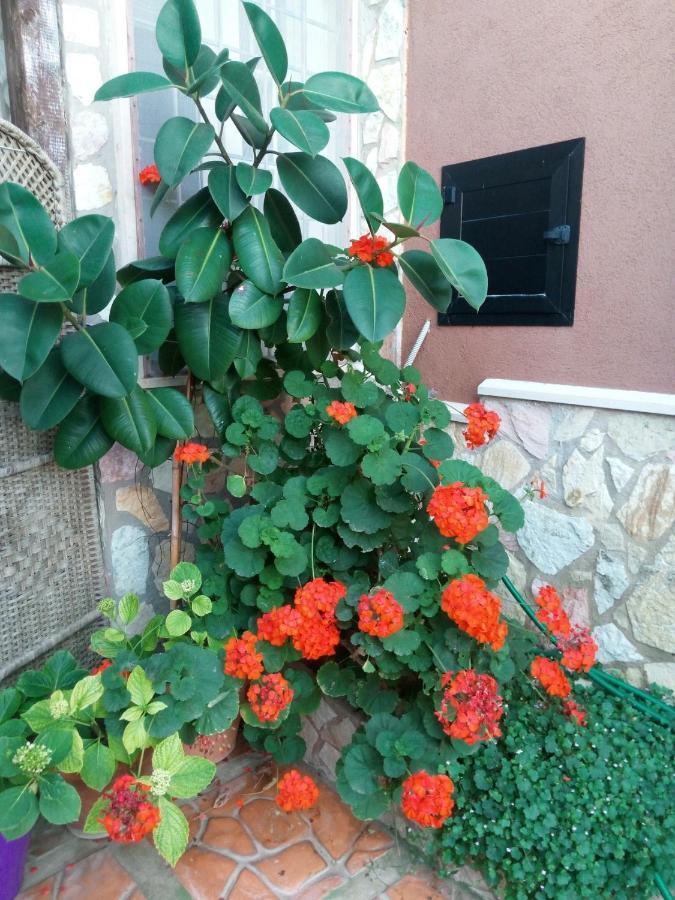 Bed and Breakfast Accussì Alcamo Marina Esterno foto