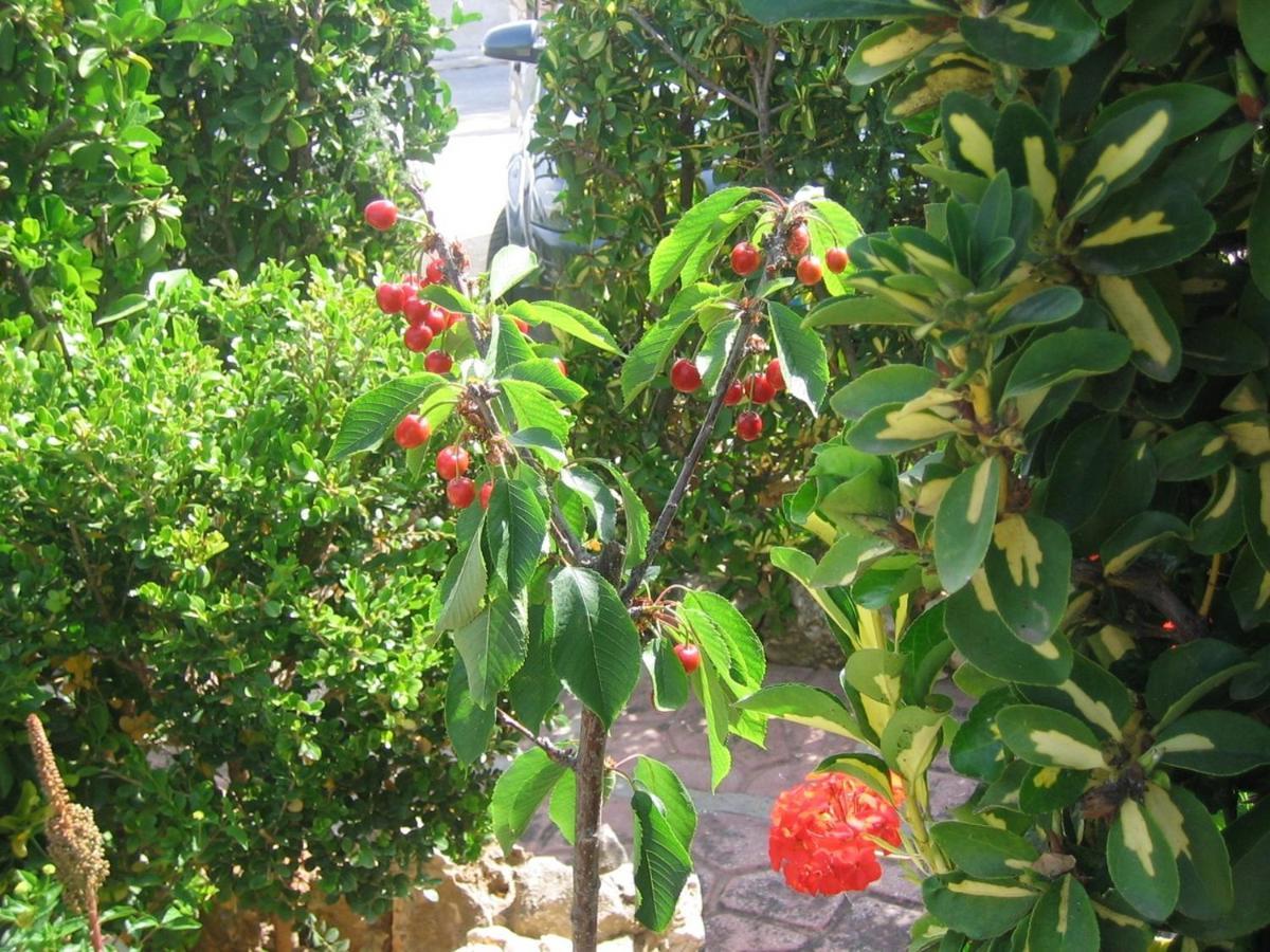 Bed and Breakfast Accussì Alcamo Marina Esterno foto